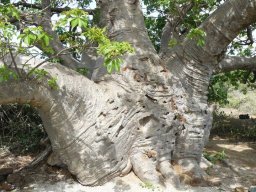 283259_10150265621544901_8222956_n